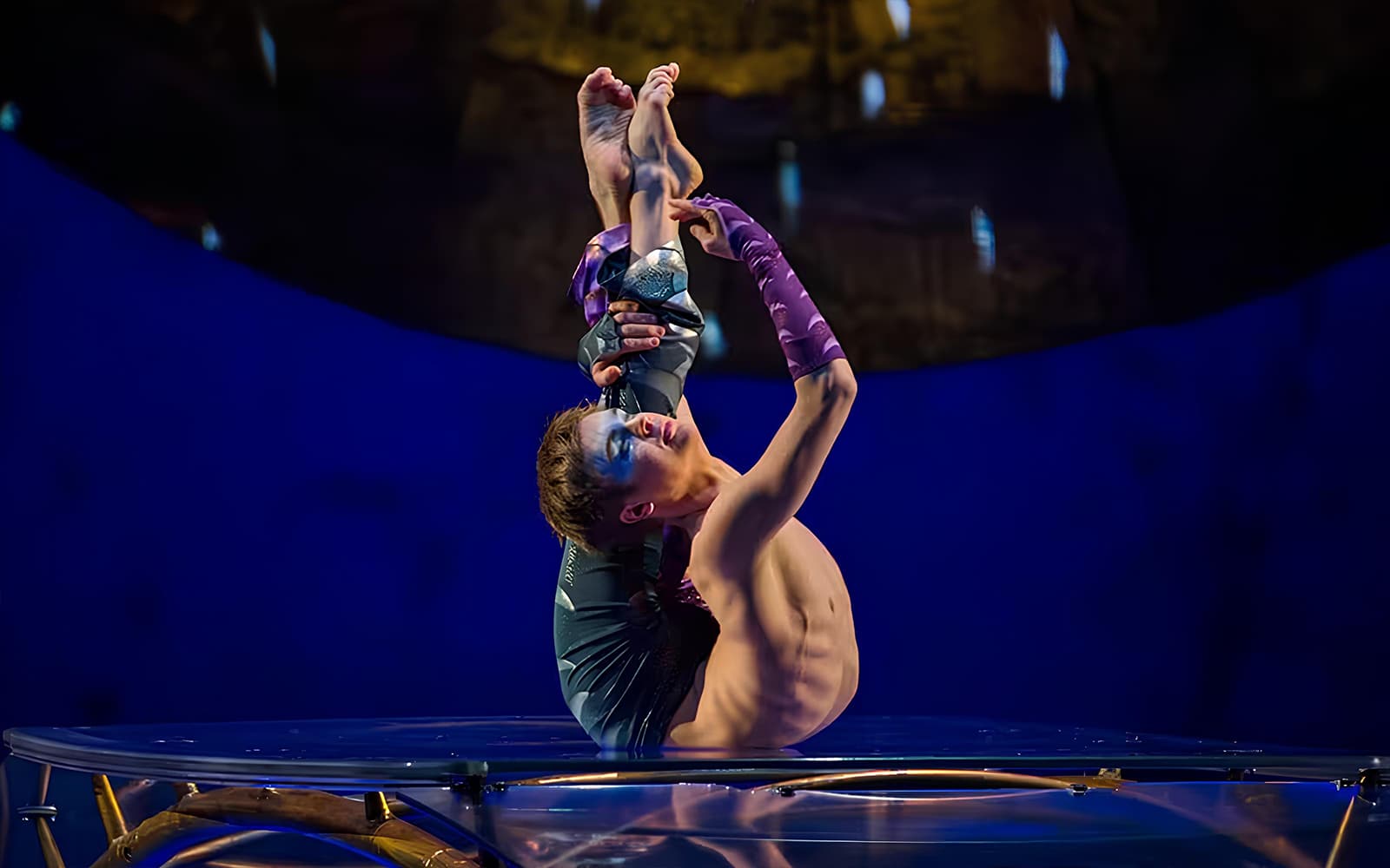 Cirque du Soleil: LUZIA Perth tickets in Perth - Features | TickYourList