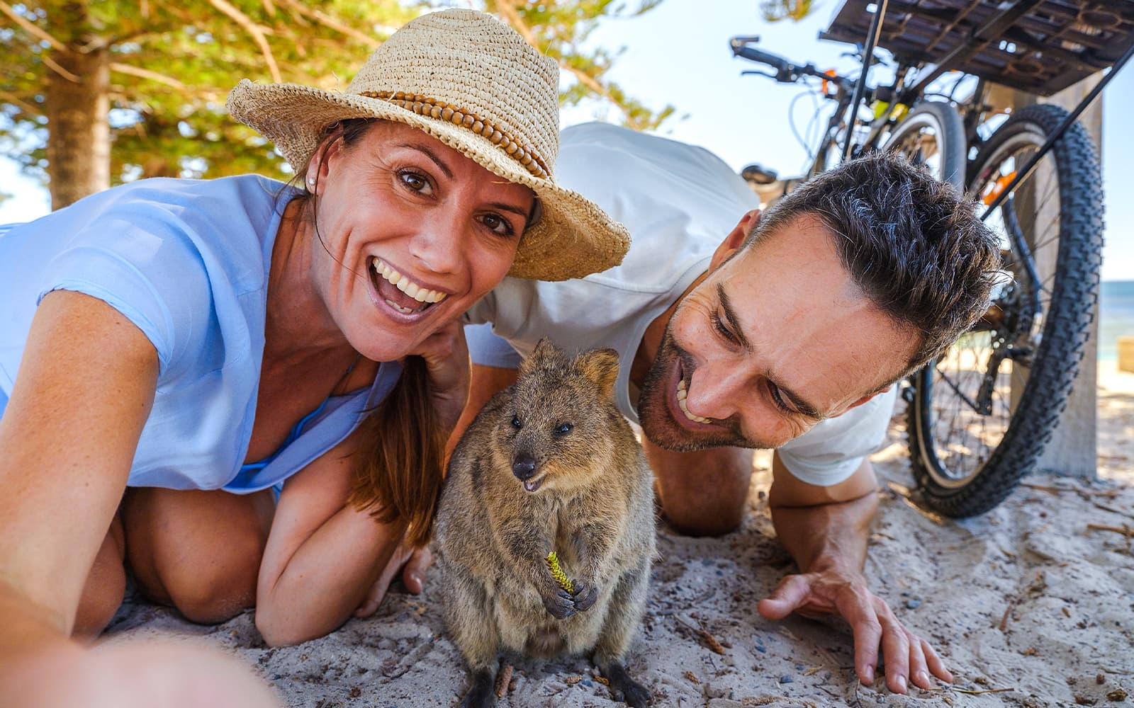 From Hillarys: Rottnest Island Return Ferry tickets in Perth - Attractions | TickYourList