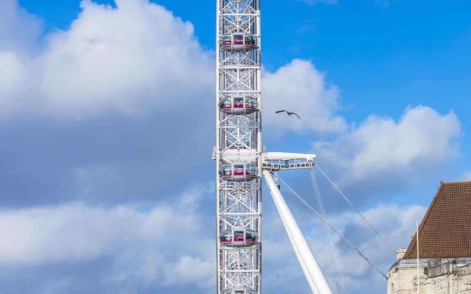 7a39c9f59f568a52247c236f63252a65-3336-london-london-eye-admission-tickets-04.avif