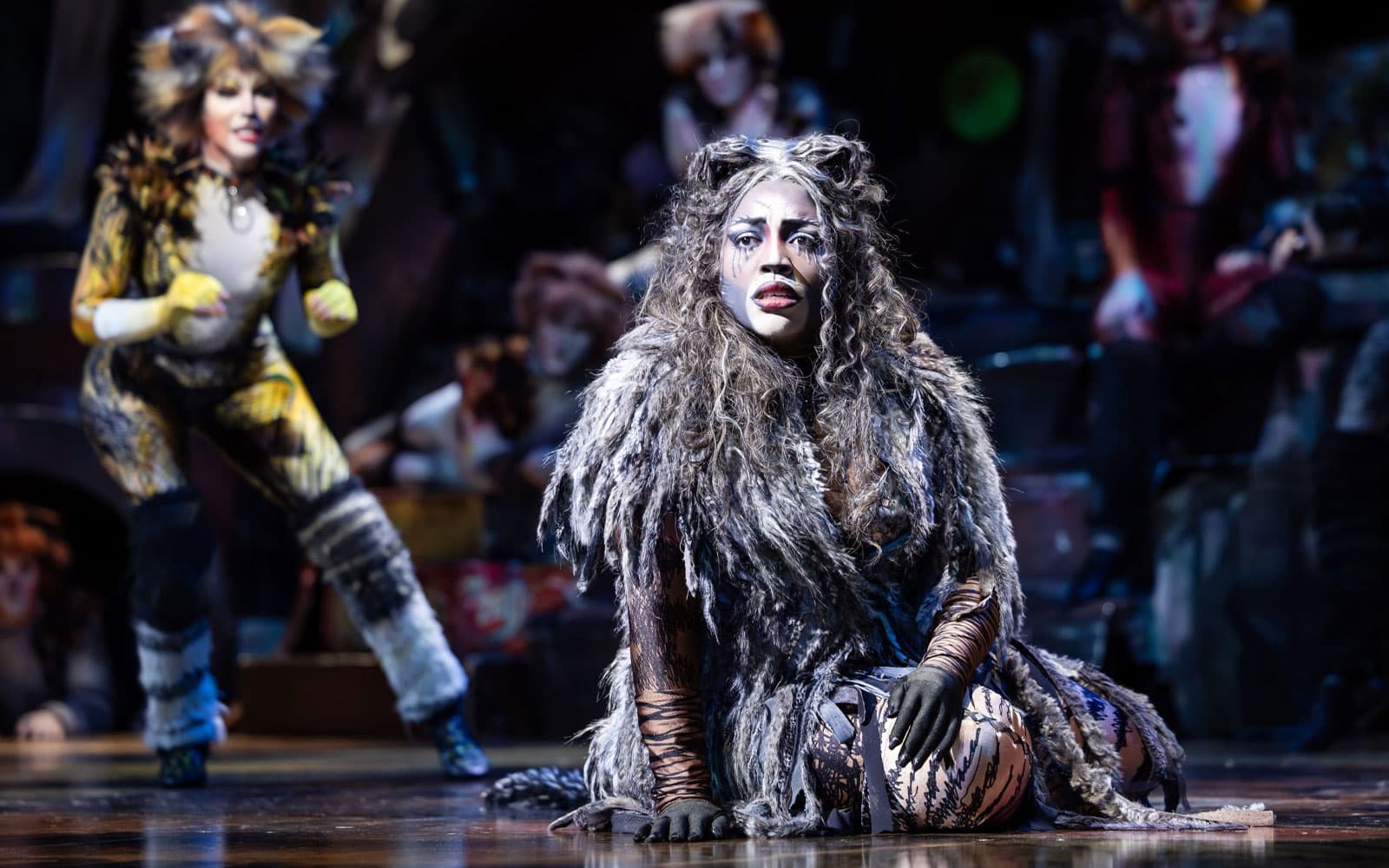 Cats tickets in Perth - Activities | TickYourList