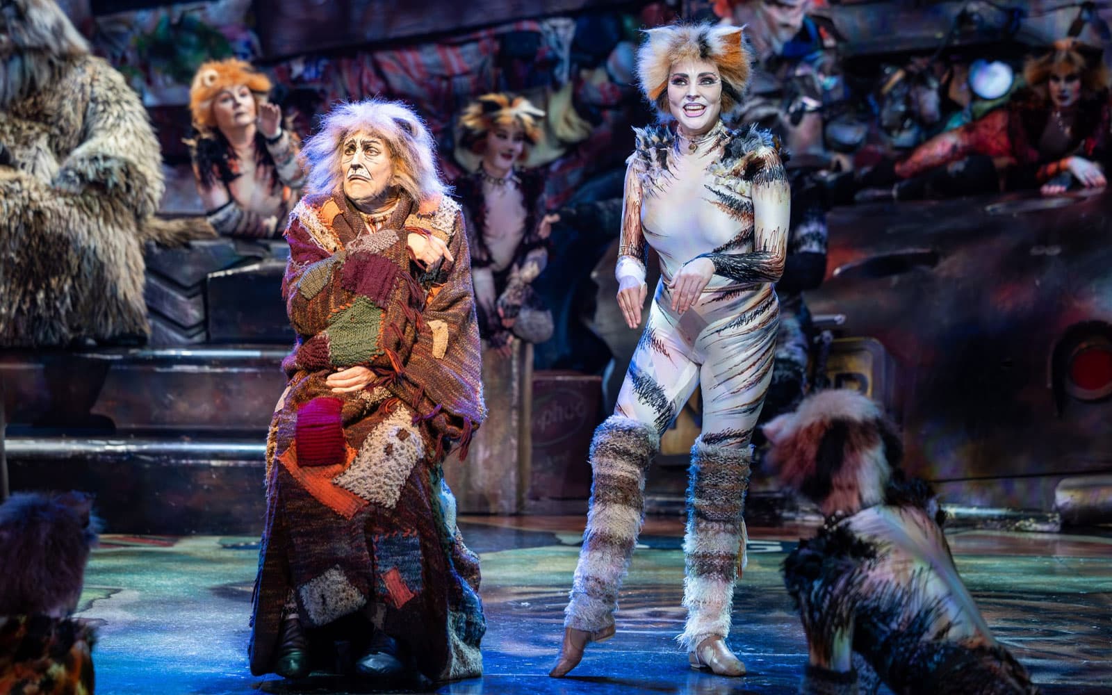 Cats tickets in Perth - Highlights | TickYourList