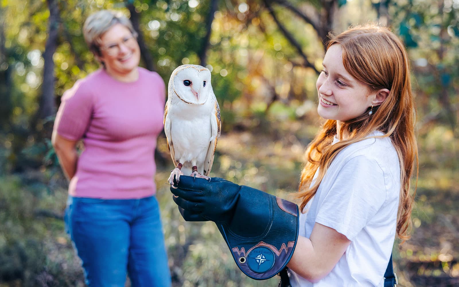 Margaret River: Capes Raptor Centre Tickets with Birds of Prey Show & Owl Photo
