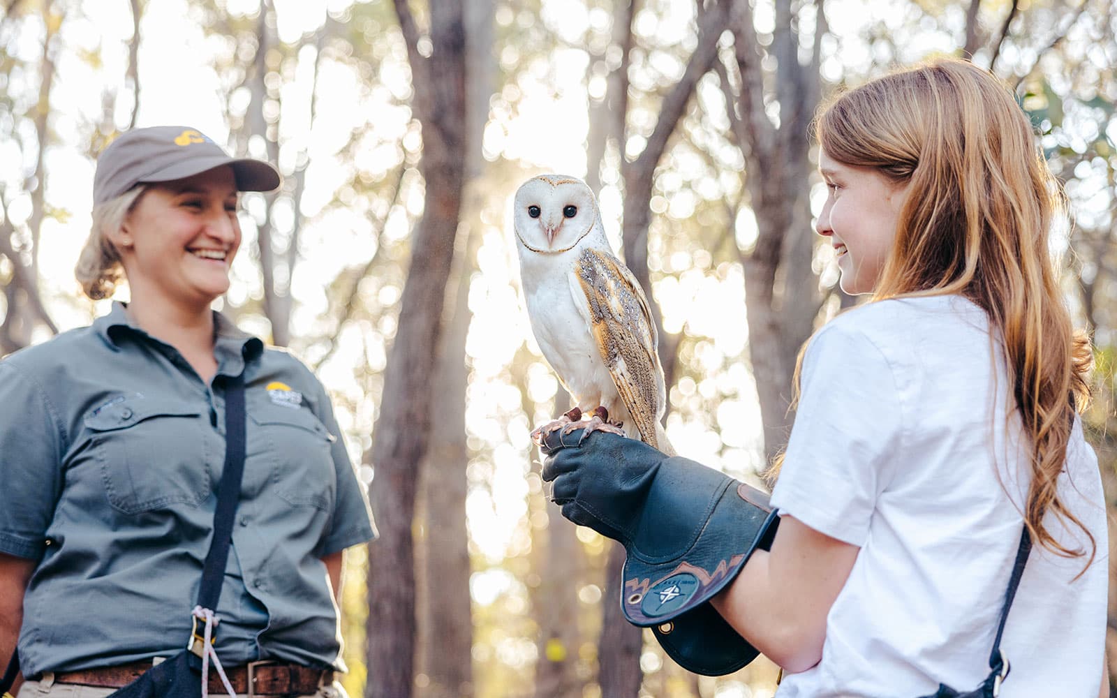 Margaret River: Capes Raptor Centre Tickets with Birds of Prey Show & Owl Photo in Perth - Highlights | TickYourList