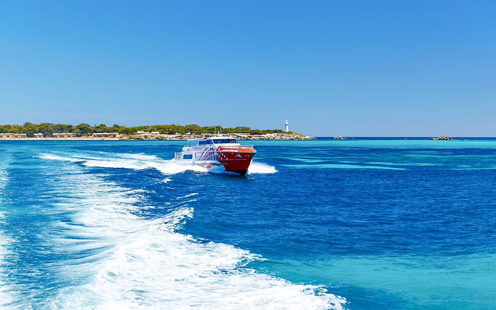 From Fremantle: Rottnest Island Return Ferry with Bike or Bus Tour Options