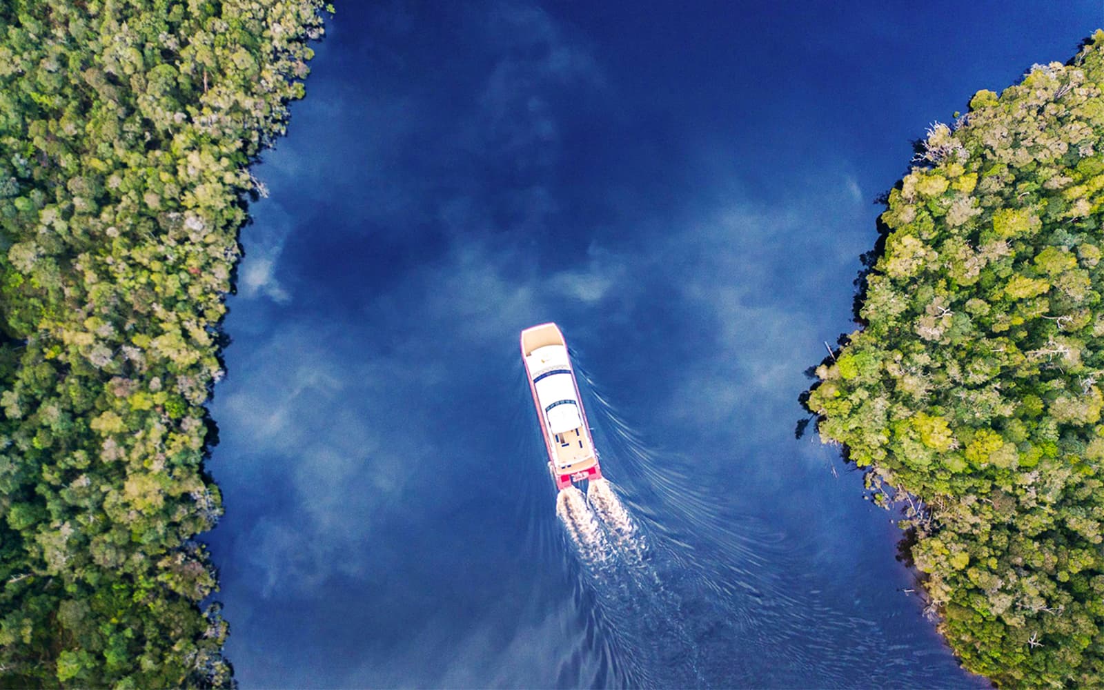 From Strahan: World Heritage Morning Cruise on Gordon River with Lunch tickets in Strahan - Activities | TickYourList