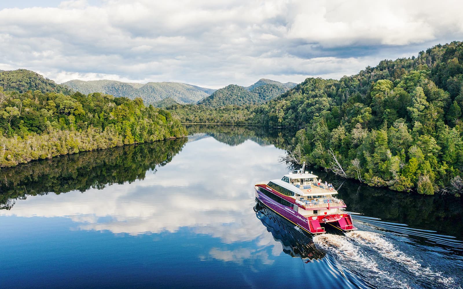 From Strahan: World Heritage Afternoon Cruise on Gordon River with Dinner