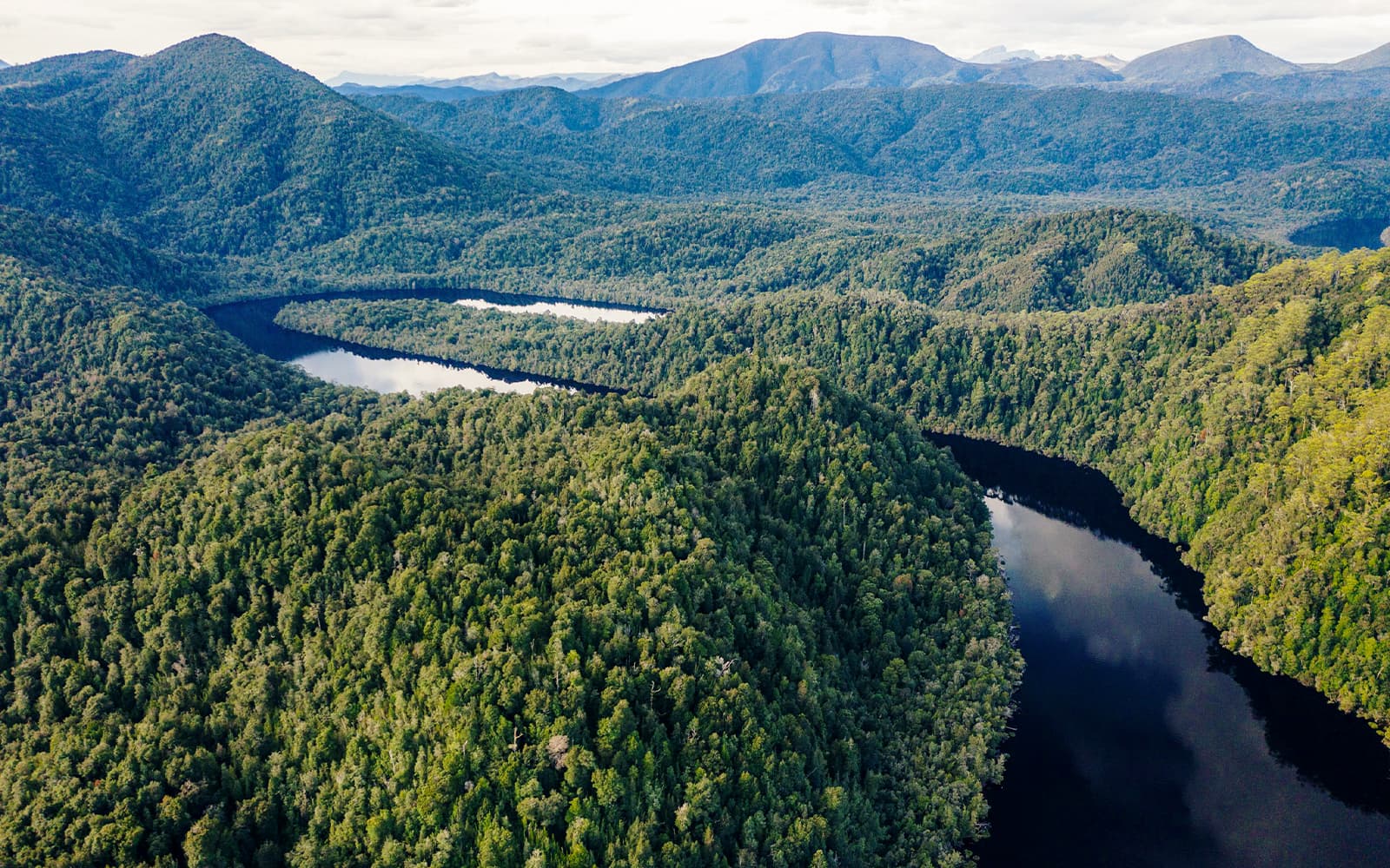 From Strahan: World Heritage Afternoon Cruise on Gordon River with Dinner tickets in Strahan - Attractions | TickYourList