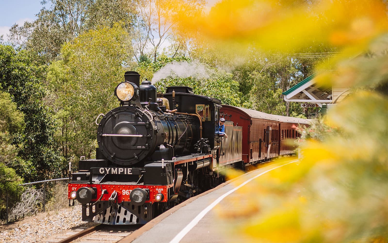 Mary Valley Rattler Train Experience from Gympie tickets in Sunshine Coast - Attractions | TickYourList
