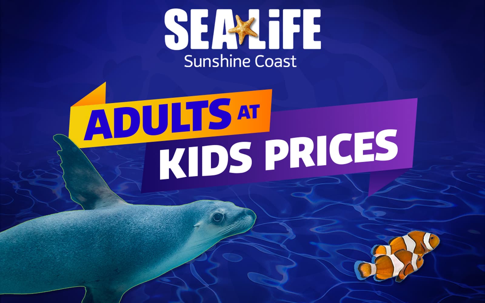 SEA LIFE Sunshine Coast Aquarium Tickets