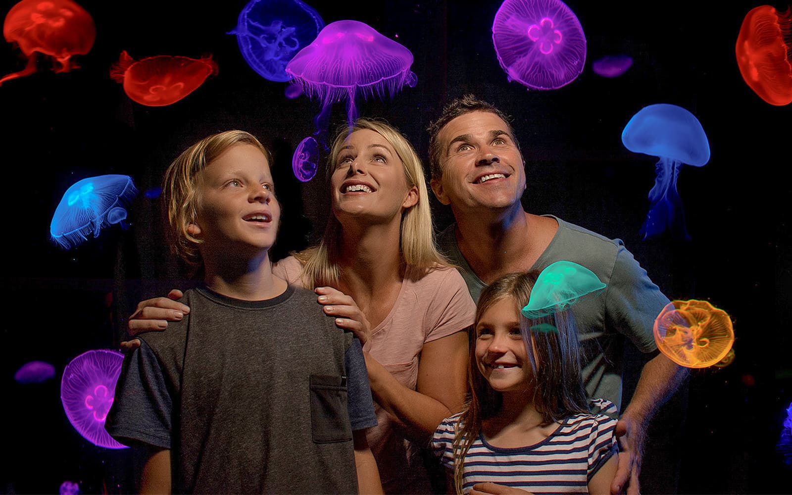 SEA LIFE Sunshine Coast Aquarium Tickets in Sunshine Coast - Attractions | TickYourList