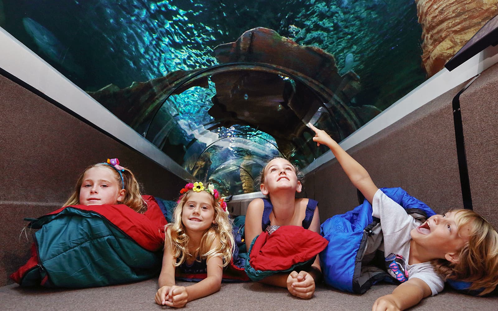 SEA LIFE Sunshine Coast Aquarium Tickets in Sunshine Coast - Highlights | TickYourList