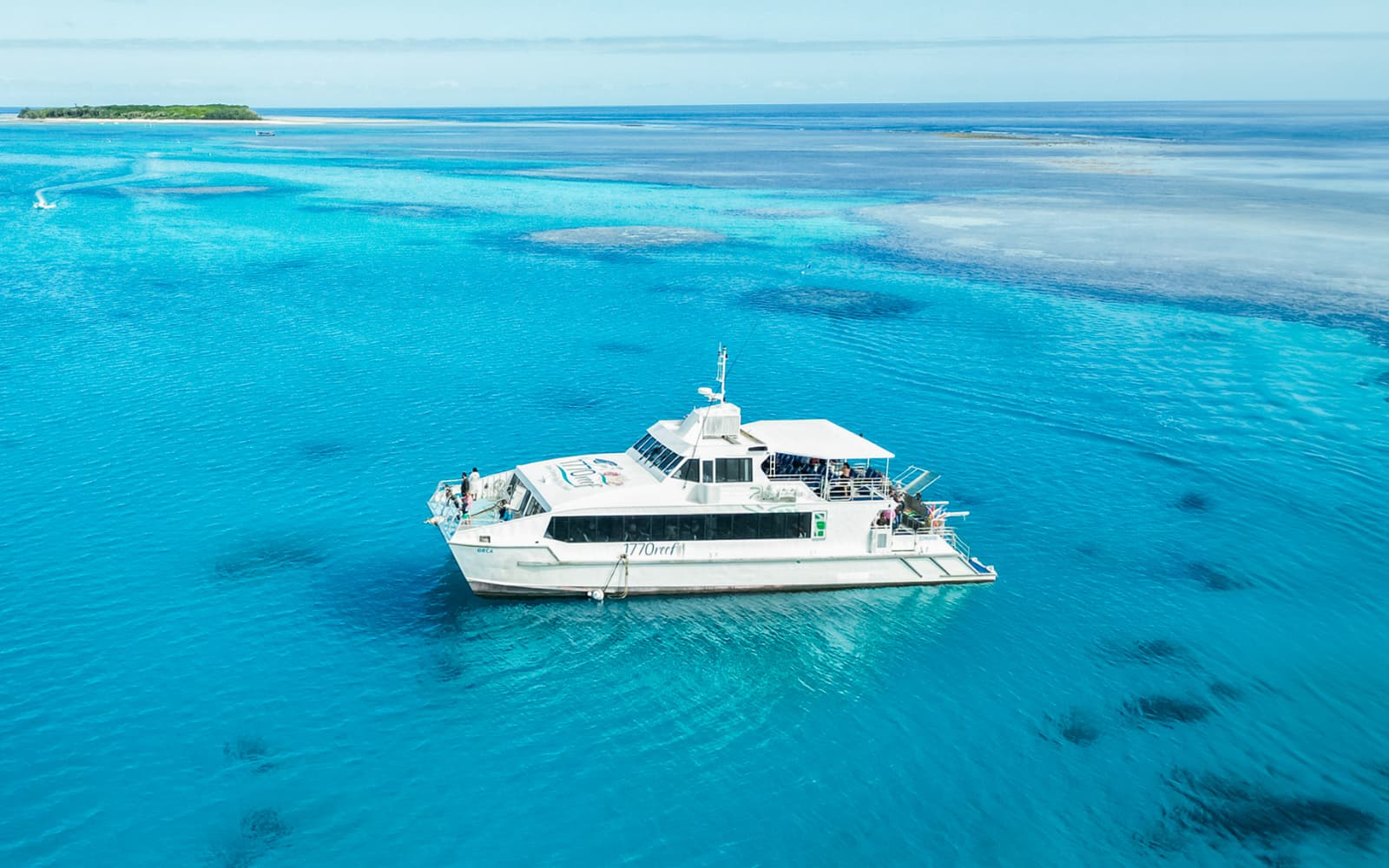 Full Day Tour of Lady Musgrave Island tickets in Sunshine Coast - Activities | TickYourList