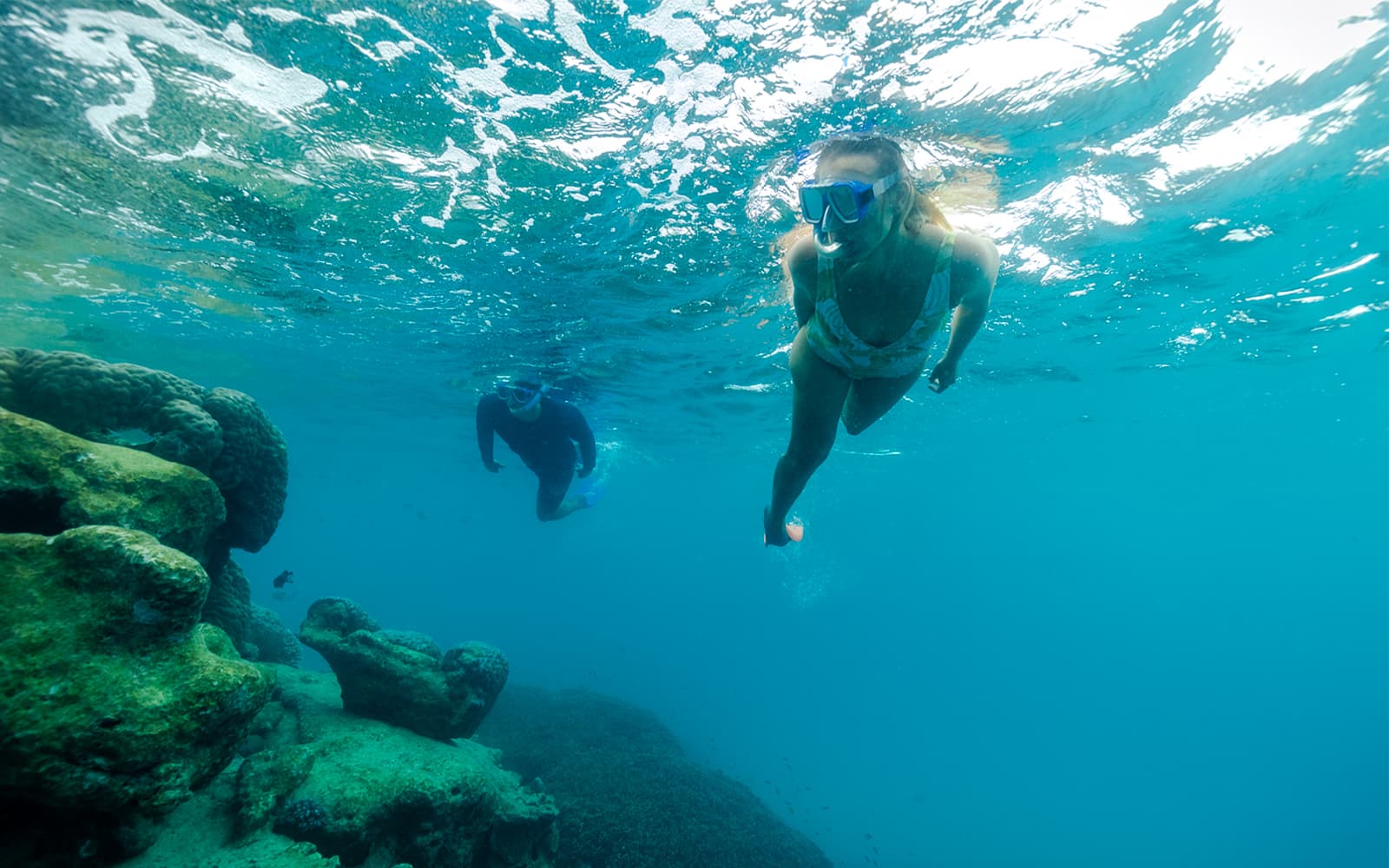 Full Day Tour of Lady Musgrave Island tickets in Sunshine Coast - Features | TickYourList