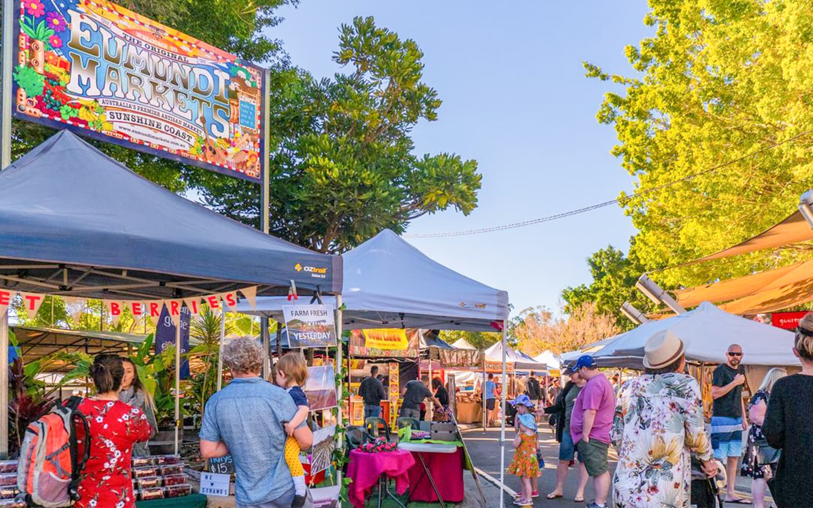 Eumundi Markets Tour with Shared Round-Trip Transfers tickets in Sunshine Coast - Activities | TickYourList