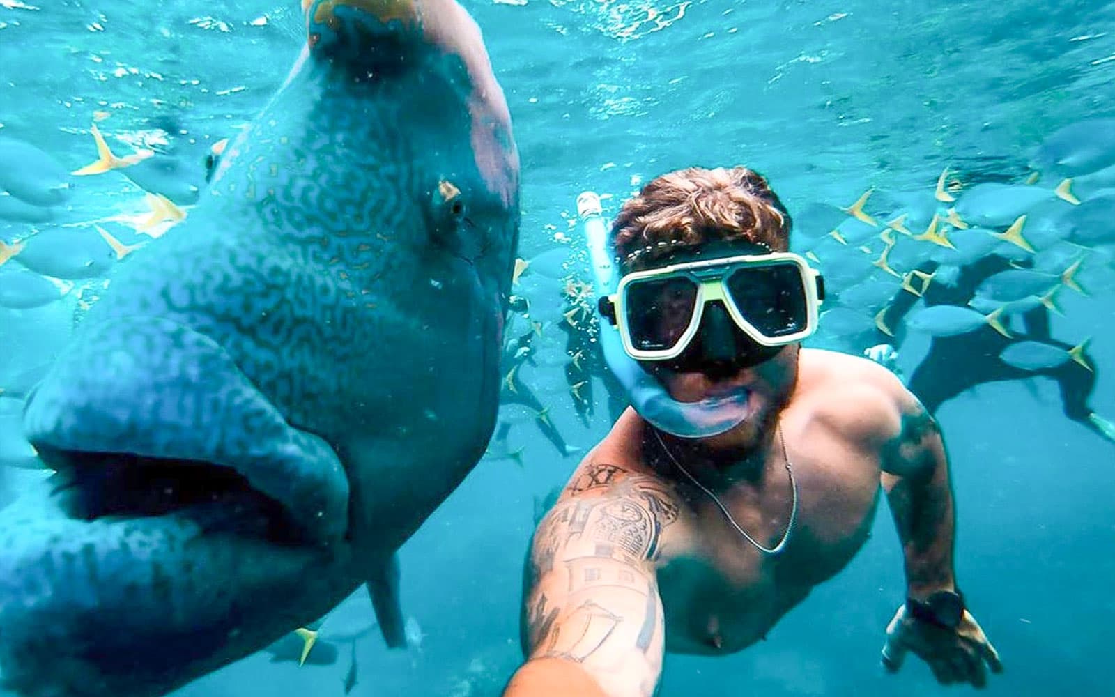 Tongarra Sail Day Tour tickets in Whitsundays - Attractions | TickYourList