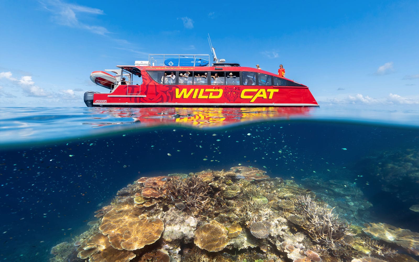 Tickets to Outer Reef Snorkel Adventure with Lunch & Tea in Whitsundays - Activities | TickYourList