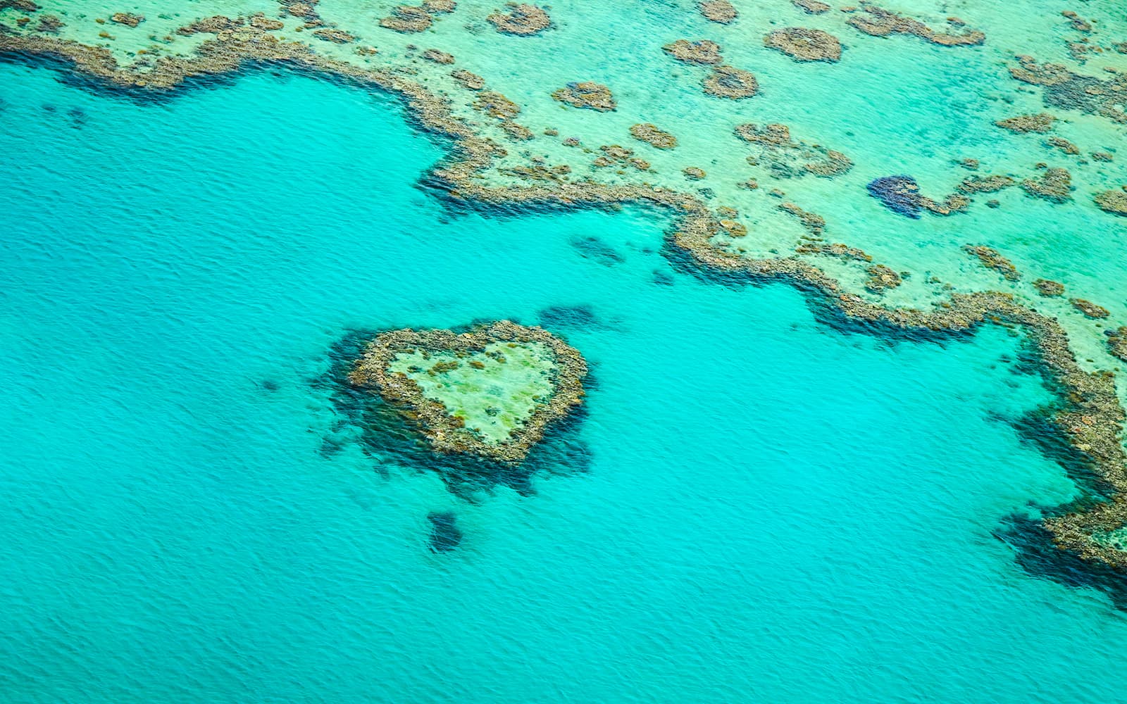From Airlie Beach: Whitsunday Islands & Heart Reef 60-Minute Scenic Flight tickets in Whitsundays - Highlights | TickYourList