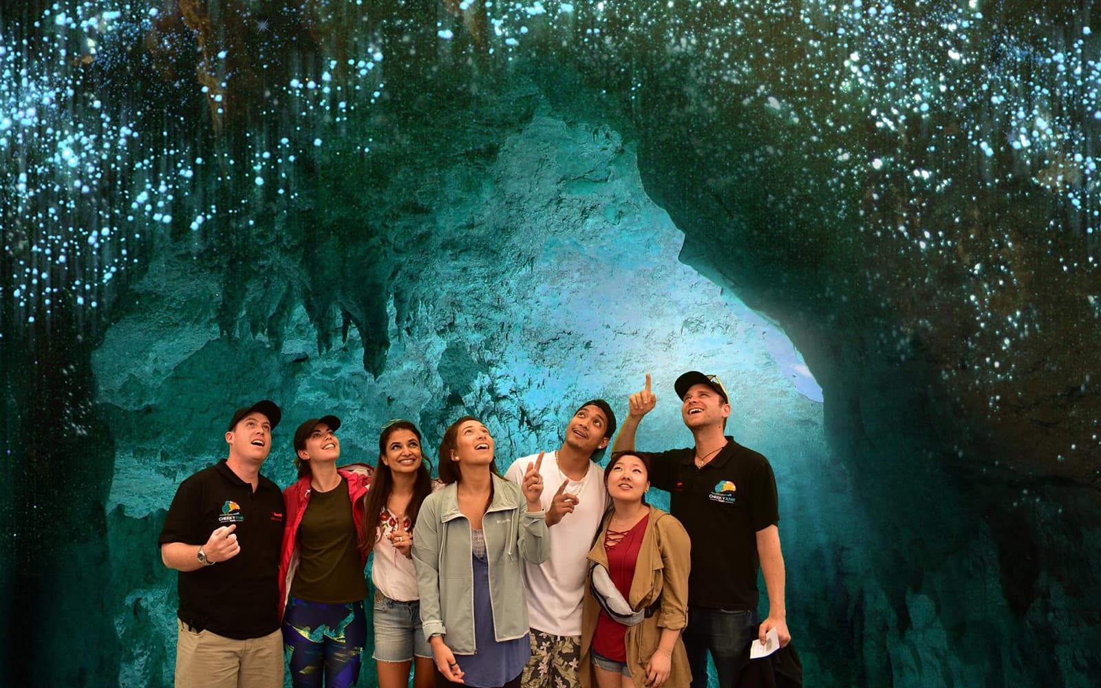 From Auckland: Waitomo Glowworm Caves Guided Tour