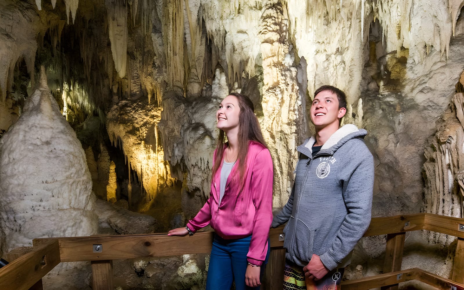 From Auckland: Waitomo Glowworm Caves Guided Tour tickets in Waitomo - Attractions | TickYourList