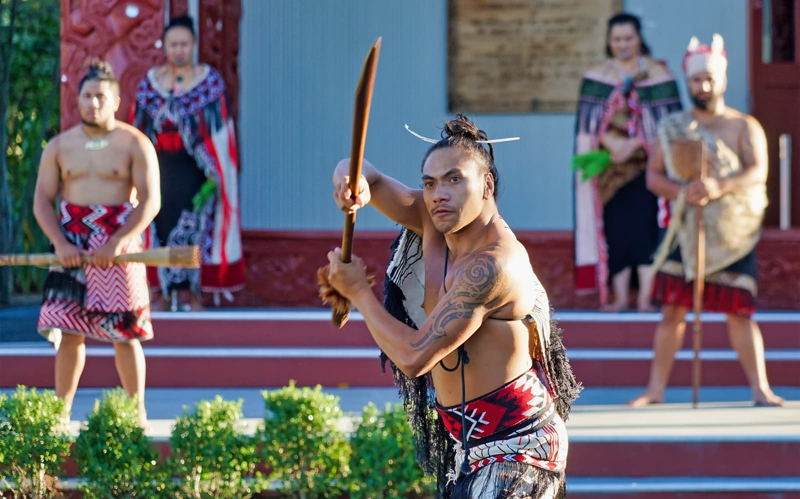 From Auckland: Hobbiton, Rotorua, & Te Puia Guided Tour