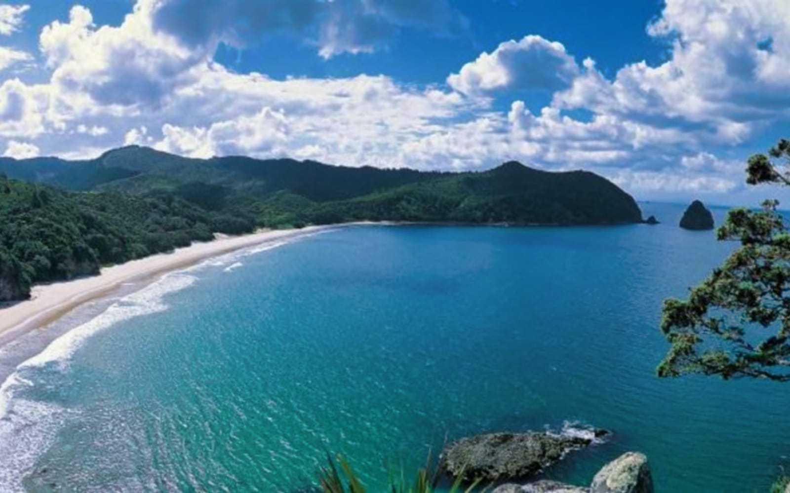 Small-Group Coromandel Peninsula Tour from Auckland tickets in Auckland - Book Now | TickYourList