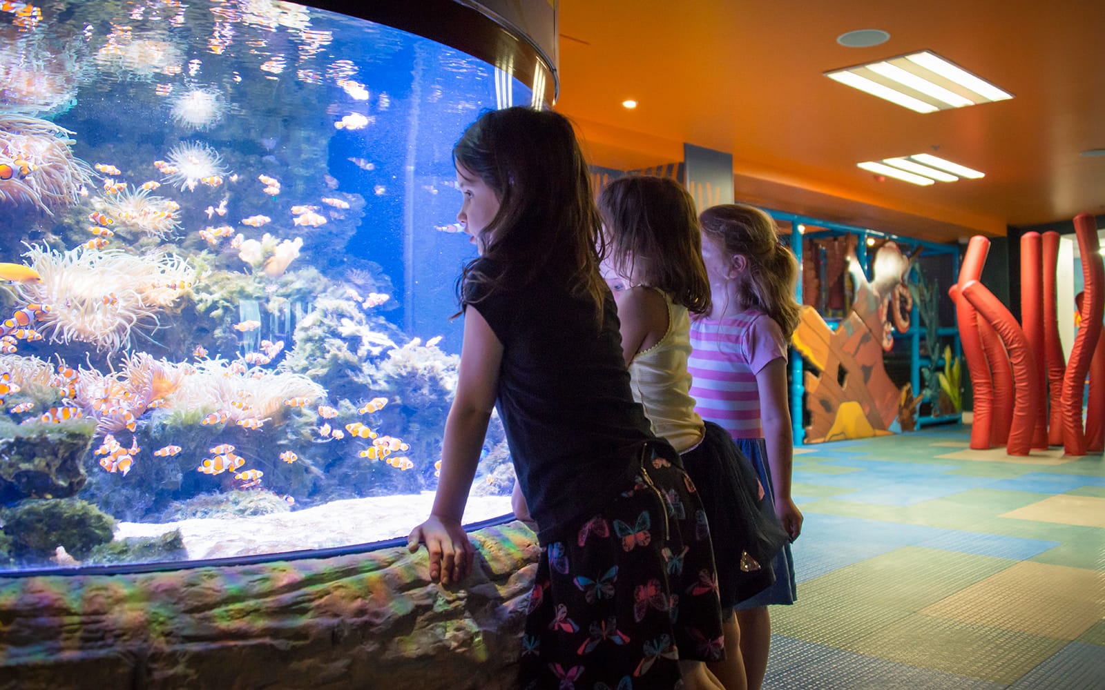 Sea Life Kelly Tarlton's Aquarium Entry Tickets in Auckland - Highlights | TickYourList