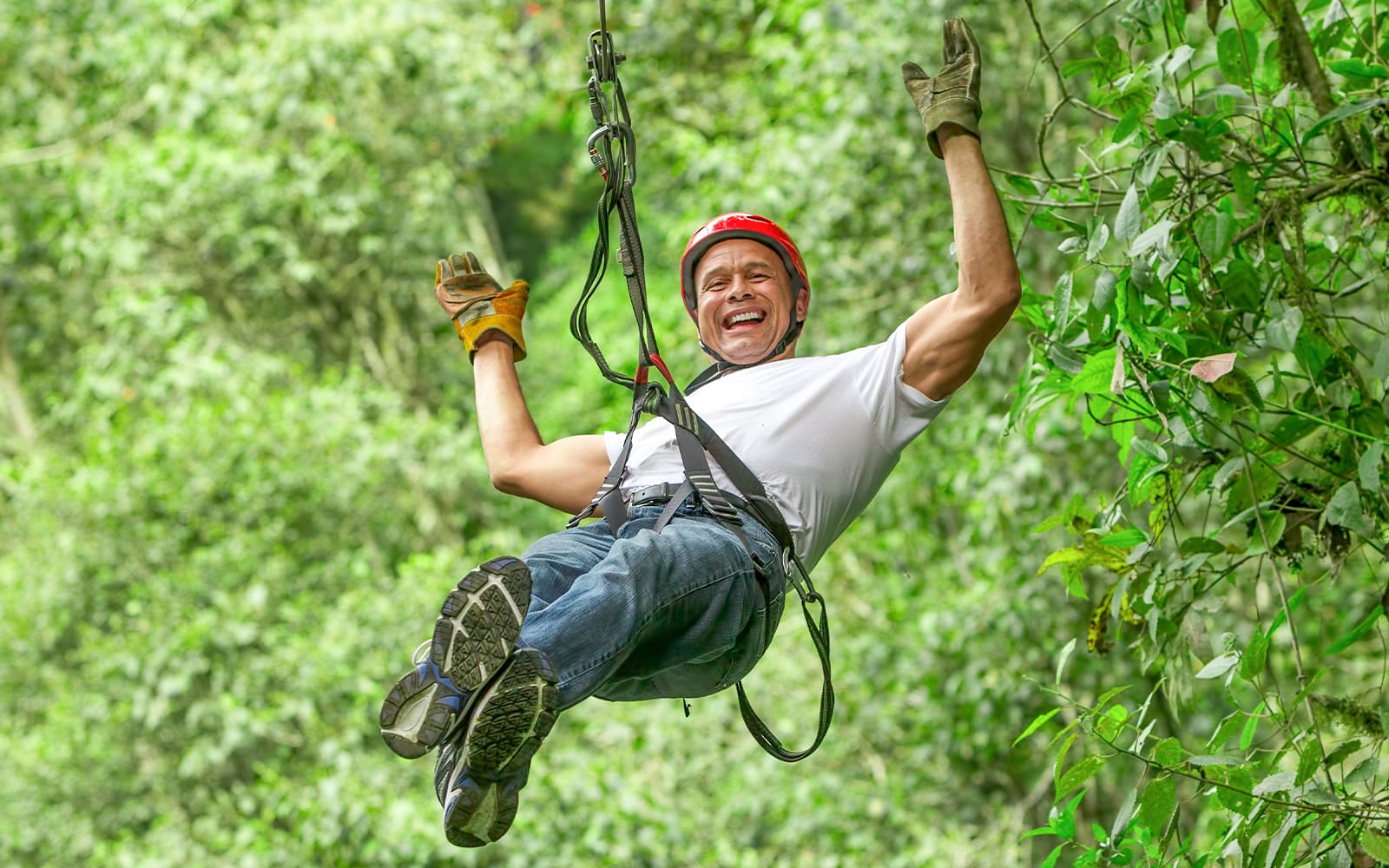 Waitomo Caves Zipline Park Tickets experience in Waitomo | TickYourList