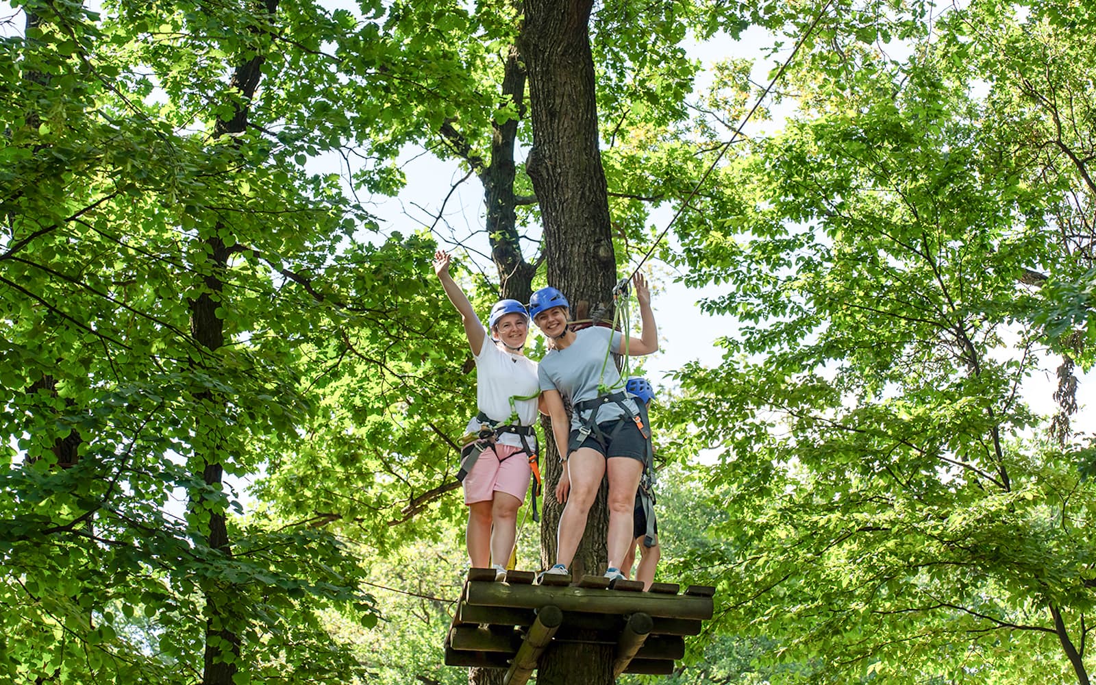 Waitomo Caves Zipline Park Tickets in Waitomo - Attractions | TickYourList