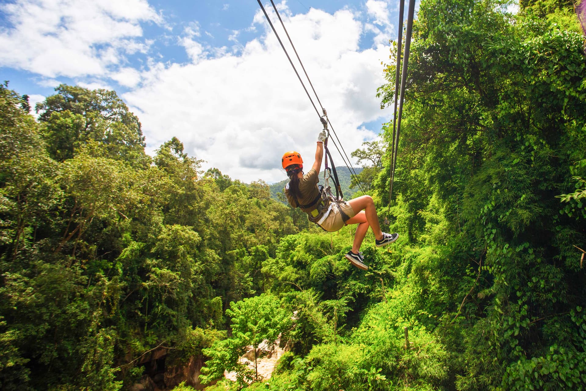 Waitomo Caves Zipline Park Tickets in Waitomo - Highlights | TickYourList