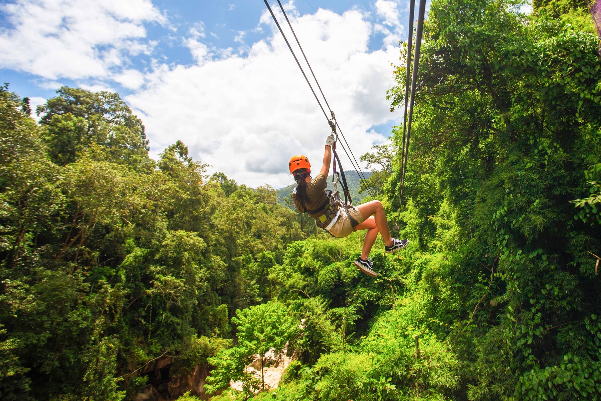 Waitomo Caves Zipline Park Tickets in Waitomo - Highlights | TickYourList