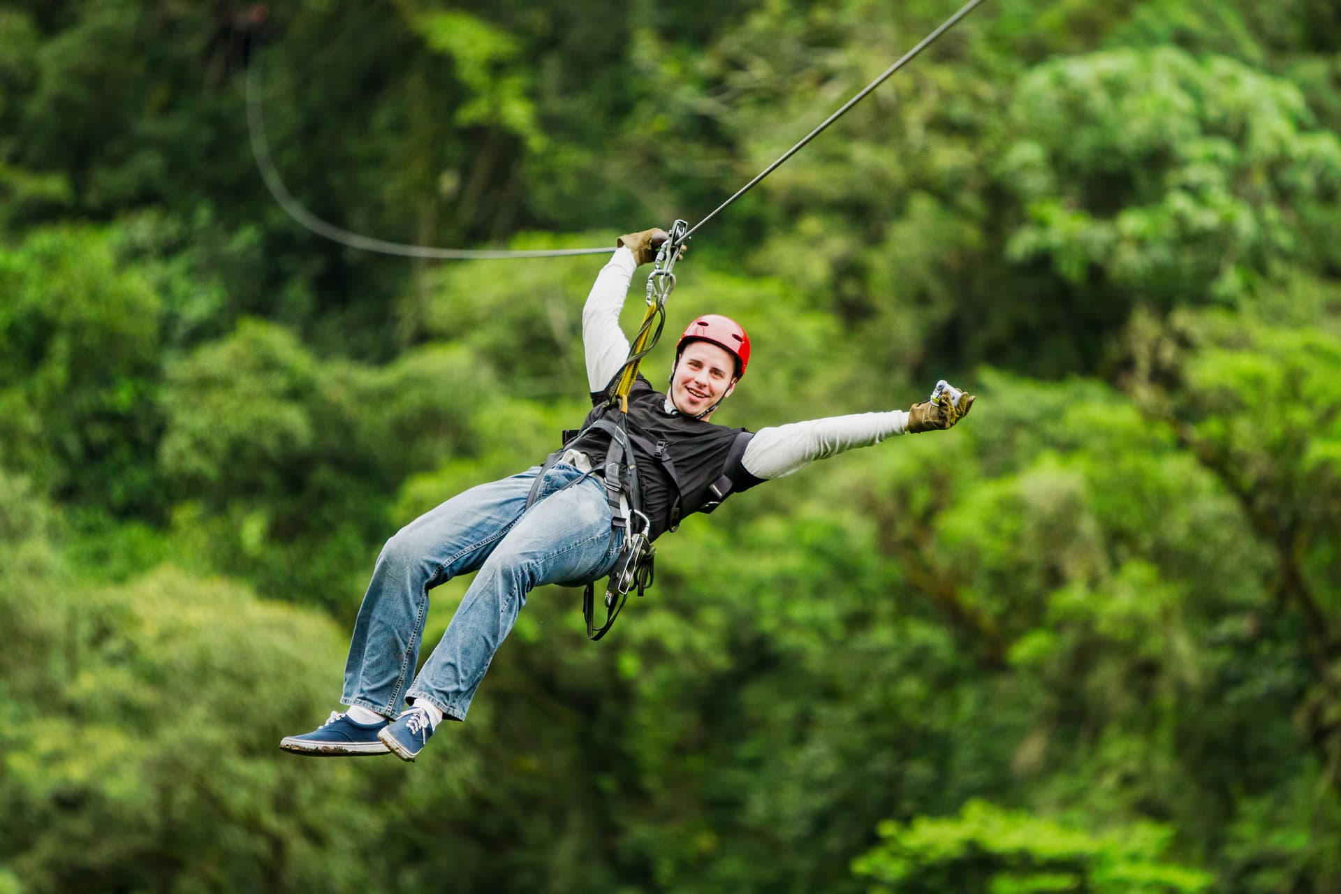 Waitomo Caves Zipline Park Tickets in Waitomo - Full Experience | TickYourList