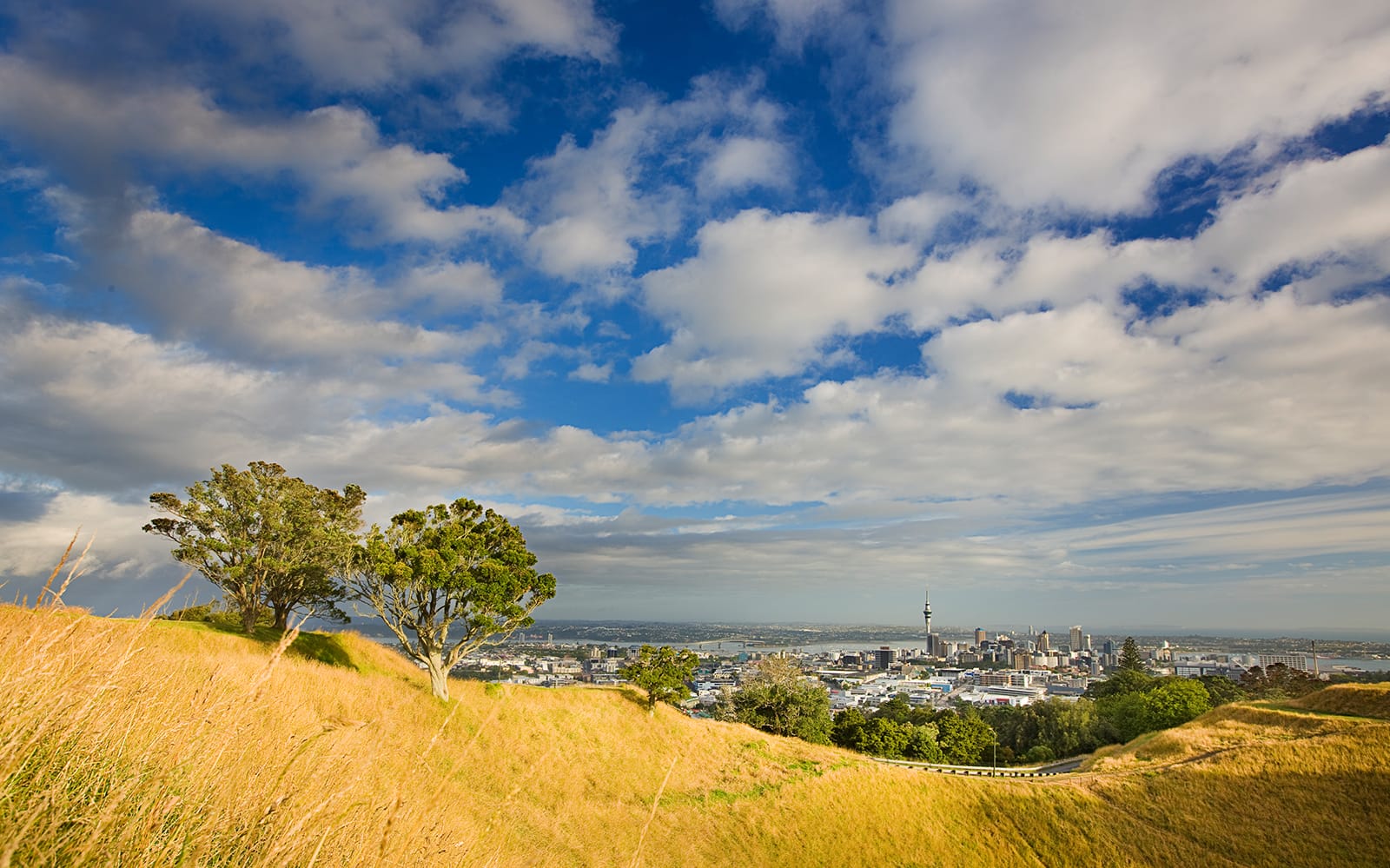 Auckland City & West Coast Luxury Tour tickets in Auckland - Highlights | TickYourList