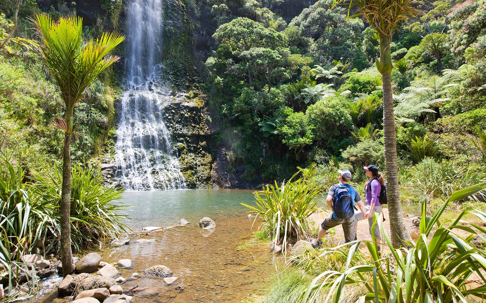 Auckland City & West Coast Luxury Tour tickets in Auckland - Features | TickYourList