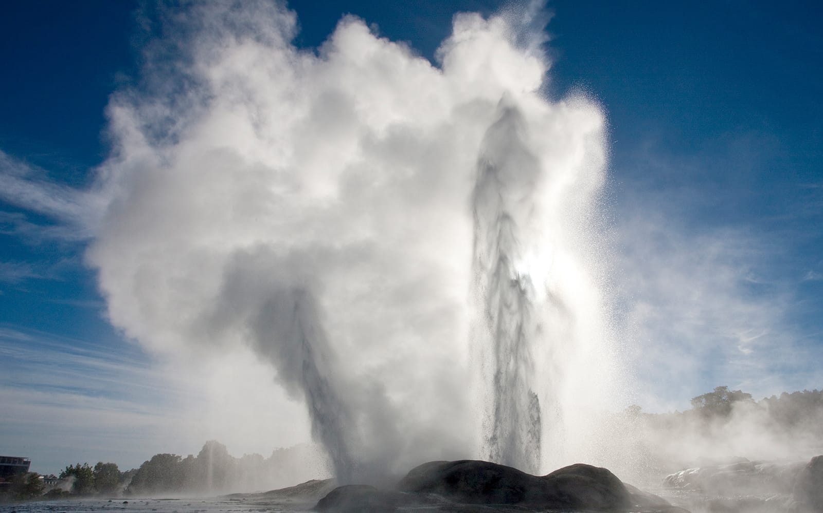 Guided Private Tour from Auckland to Rotorua tickets in Auckland - Attractions | TickYourList