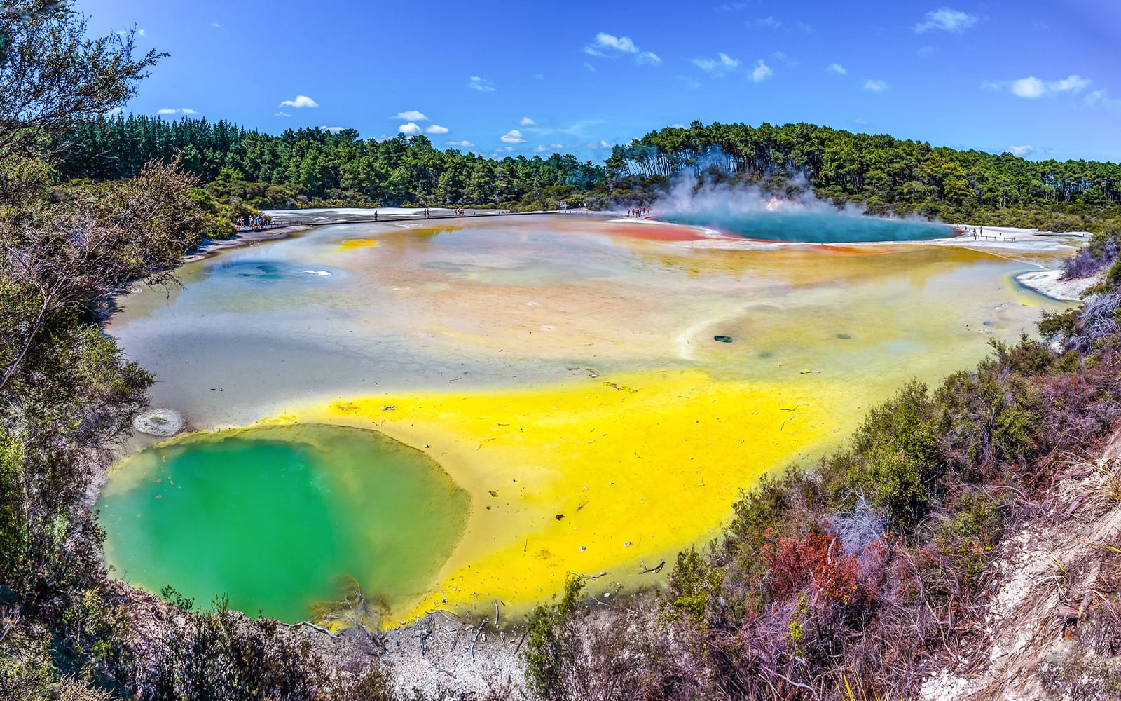 From Auckland: Rotorua Highlights Tour with Te Puia Guided Experience tickets in Rotorua - Attractions | TickYourList
