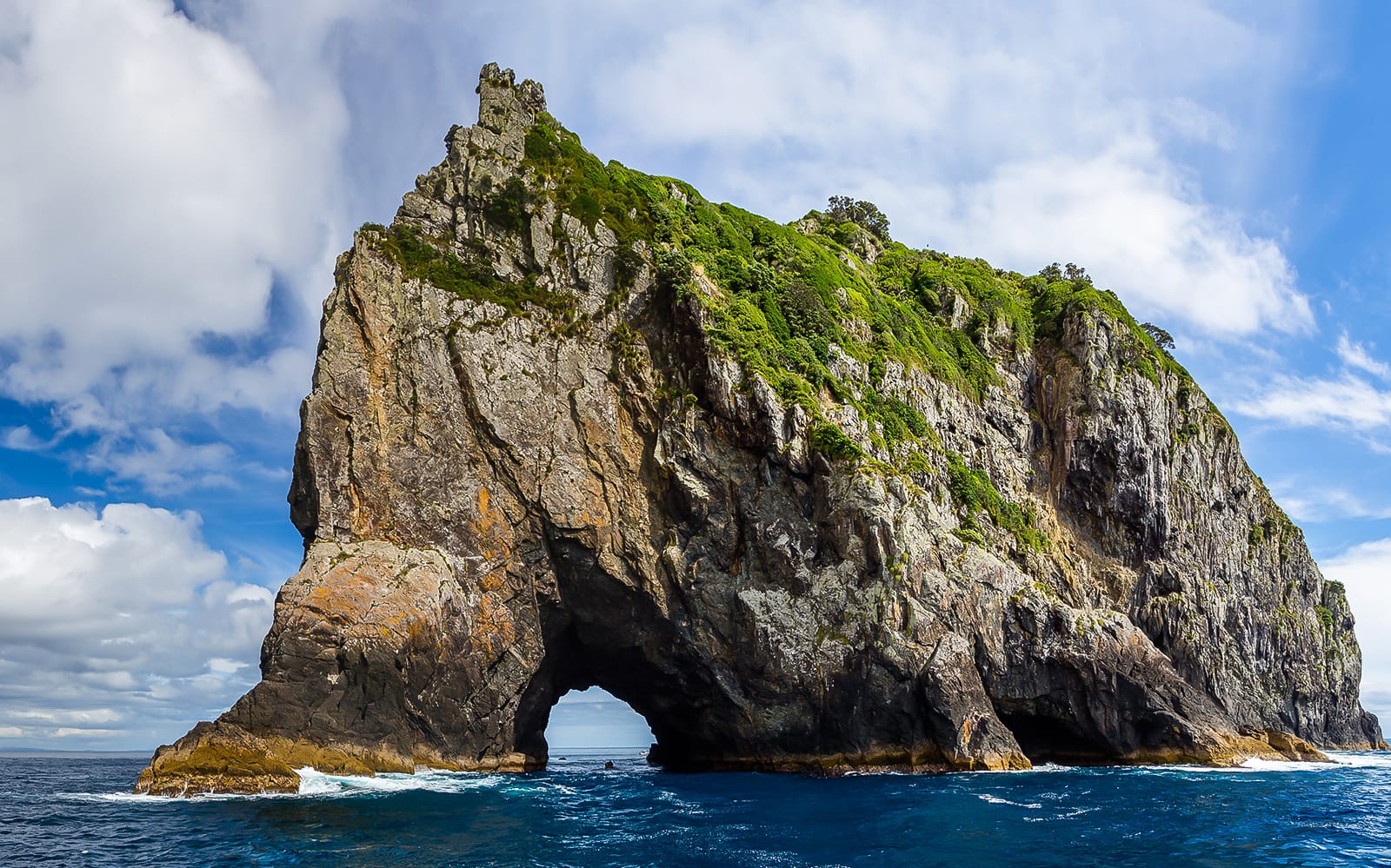 Bay of Islands Small Group Tour & Cruise from Auckland tickets in Auckland - Attractions | TickYourList