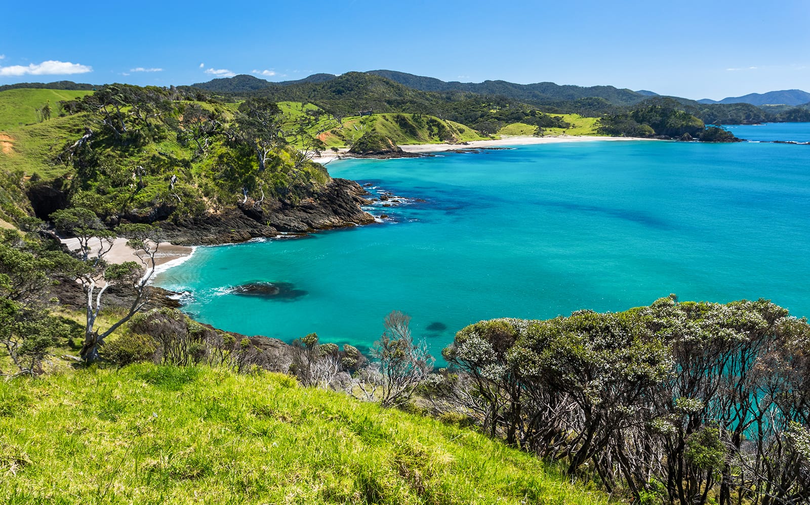 Bay of Islands Small Group Tour & Cruise from Auckland tickets in Auckland - Activities | TickYourList