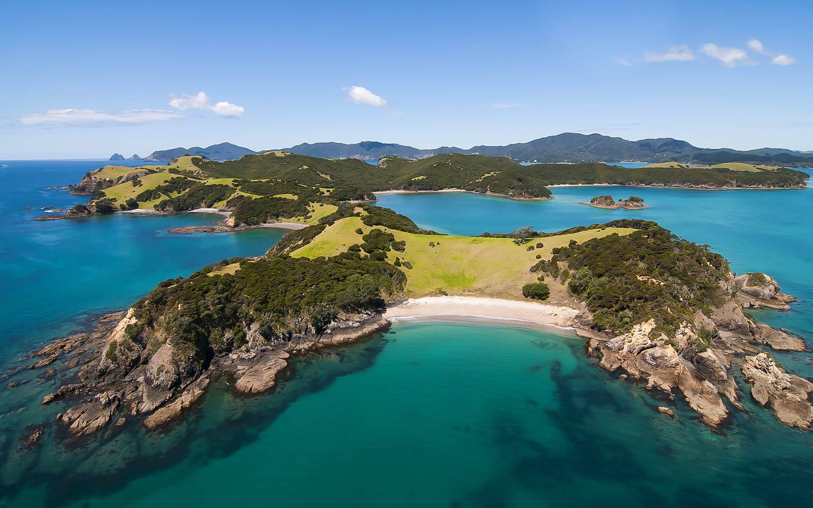 Bay of Islands Small Group Tour & Cruise from Auckland tickets in Auckland - Highlights | TickYourList