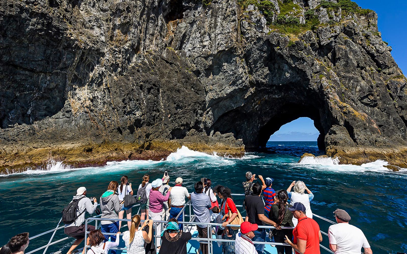 Day Tour to Bay of Islands From Auckland tickets in Auckland - Activities | TickYourList