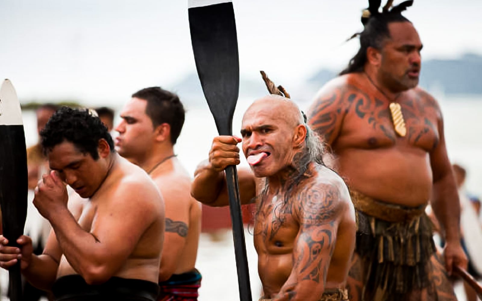 Day Tour to Bay of Islands From Auckland tickets in Auckland - Highlights | TickYourList