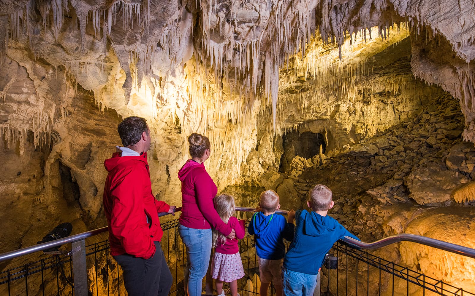 Waitomo Glowworm Caves Guided Tour tickets in Waitomo - Attractions | TickYourList