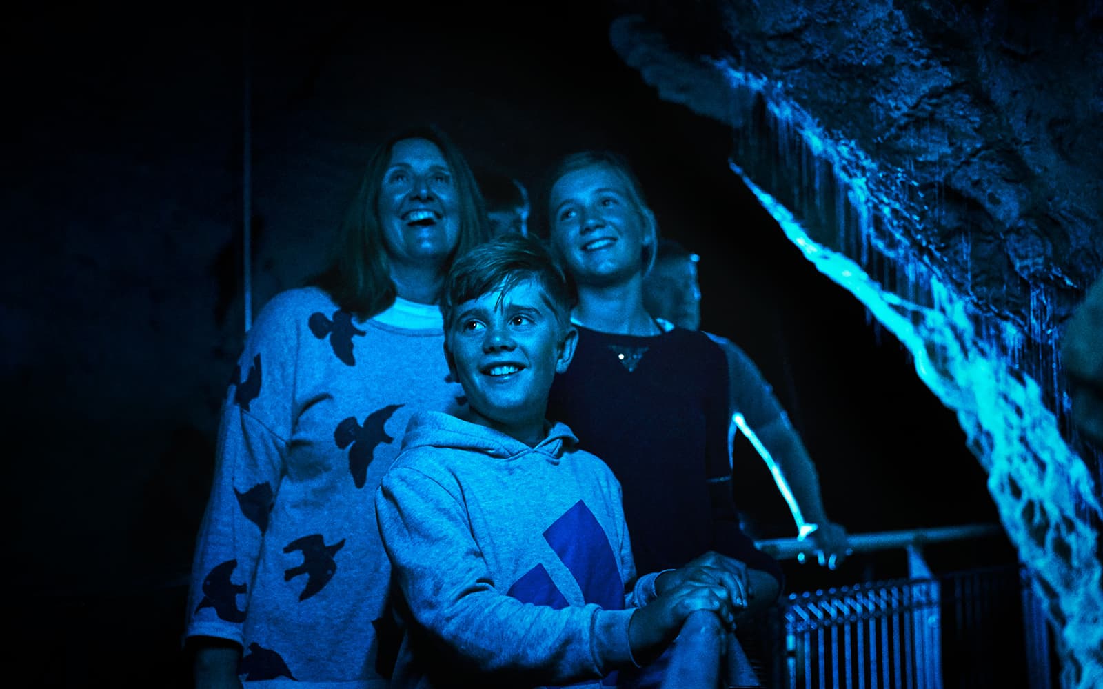 Waitomo Glowworm Caves Guided Tour tickets in Waitomo - Features | TickYourList