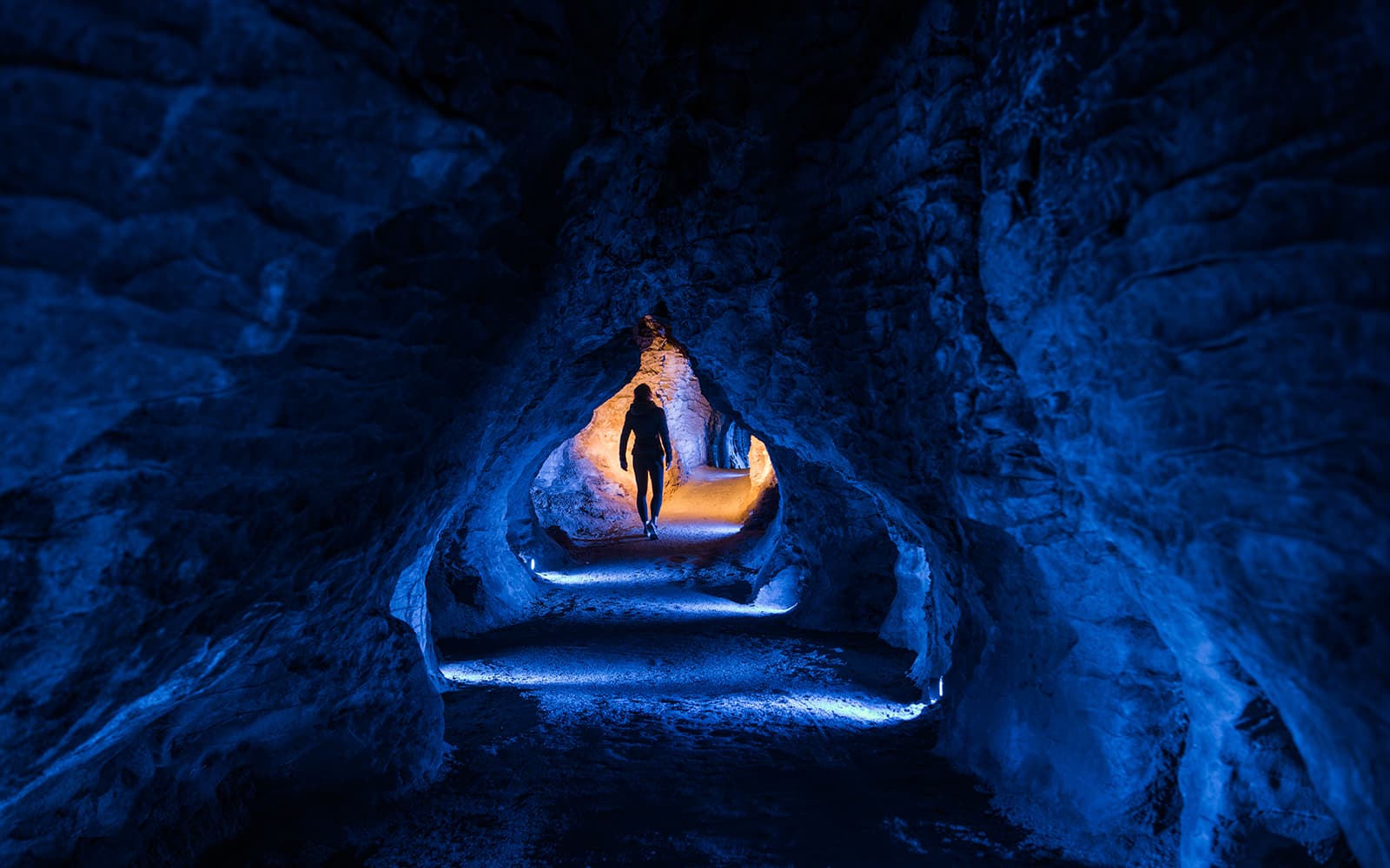 Ruakuri Cave Guided Tour
