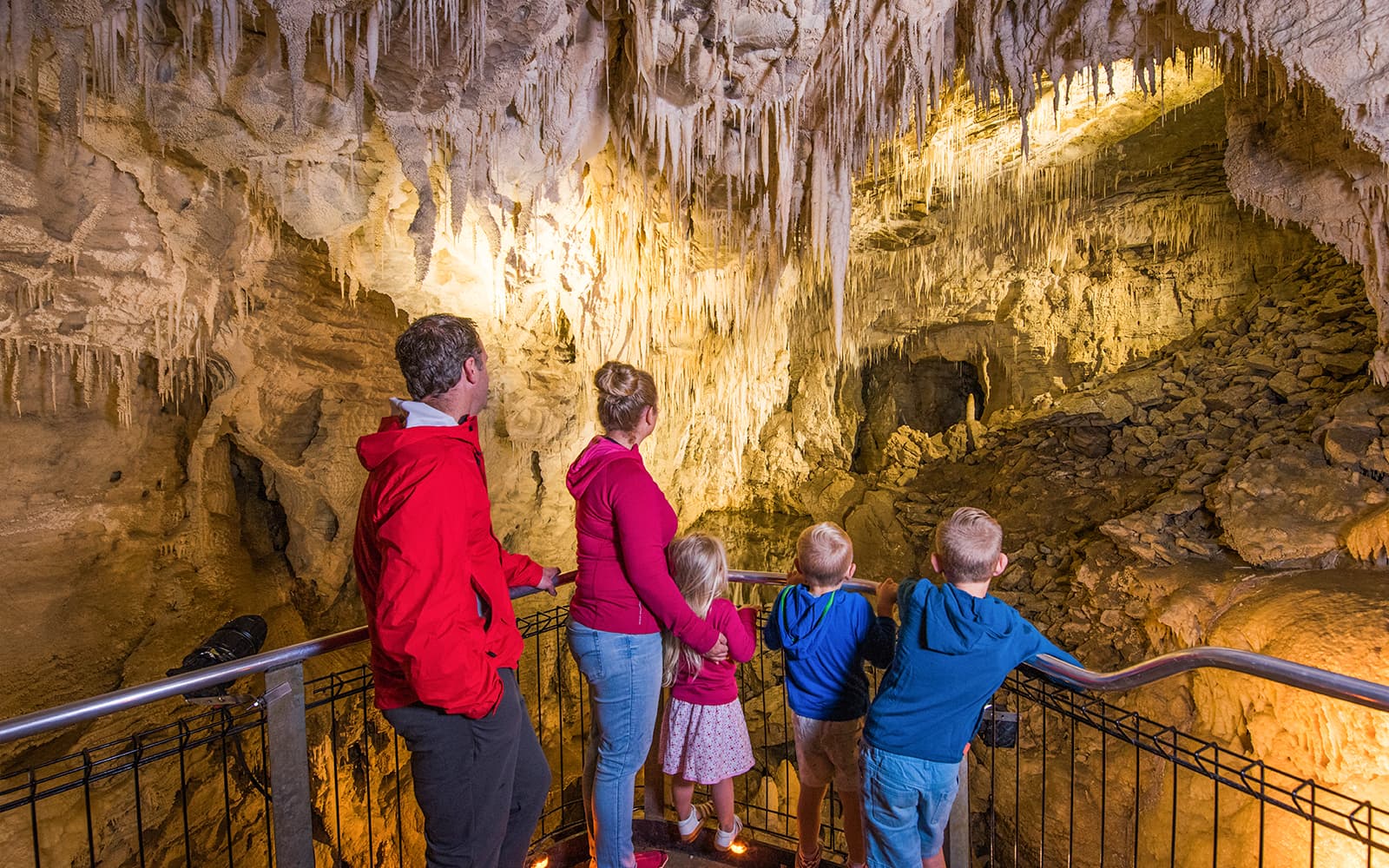 Ruakuri Cave Guided Tour tickets in Waitomo - Activities | TickYourList