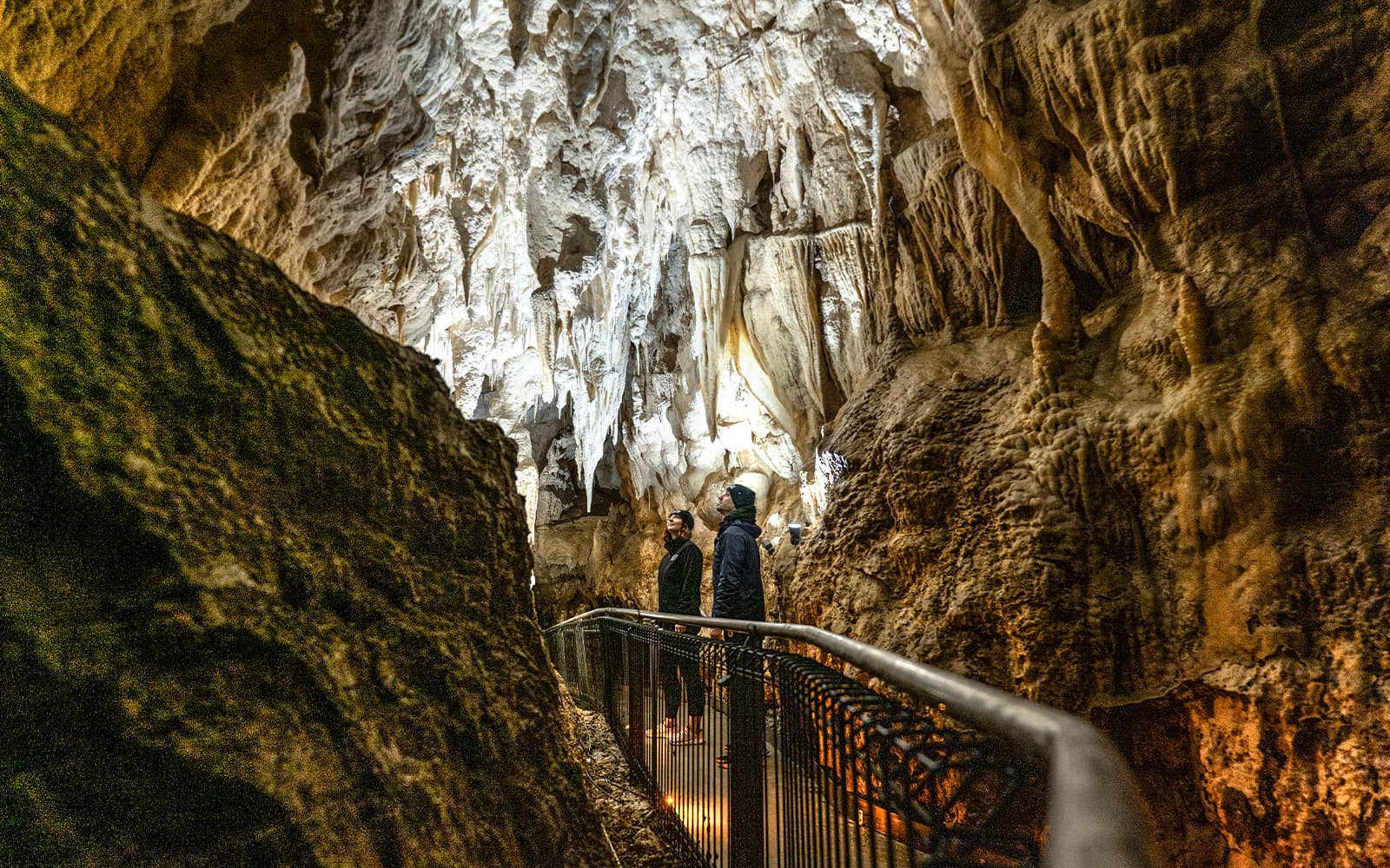 Ruakuri Cave Guided Tour tickets in Waitomo - Highlights | TickYourList