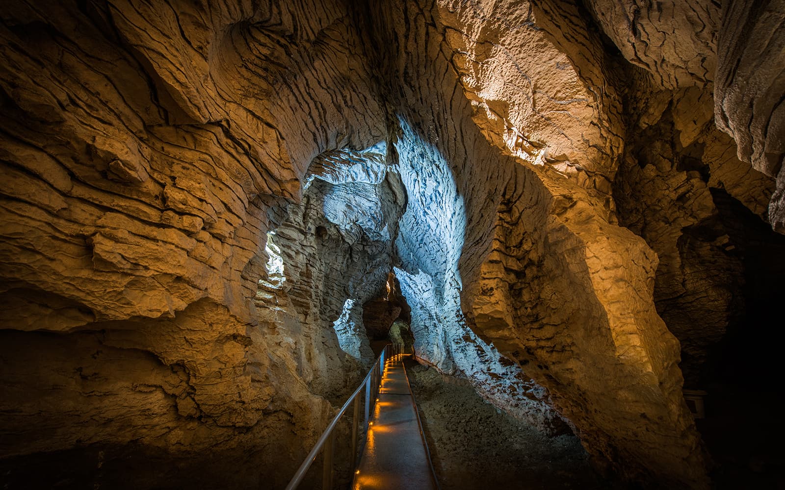 Ruakuri Cave Guided Tour tickets in Waitomo - Features | TickYourList