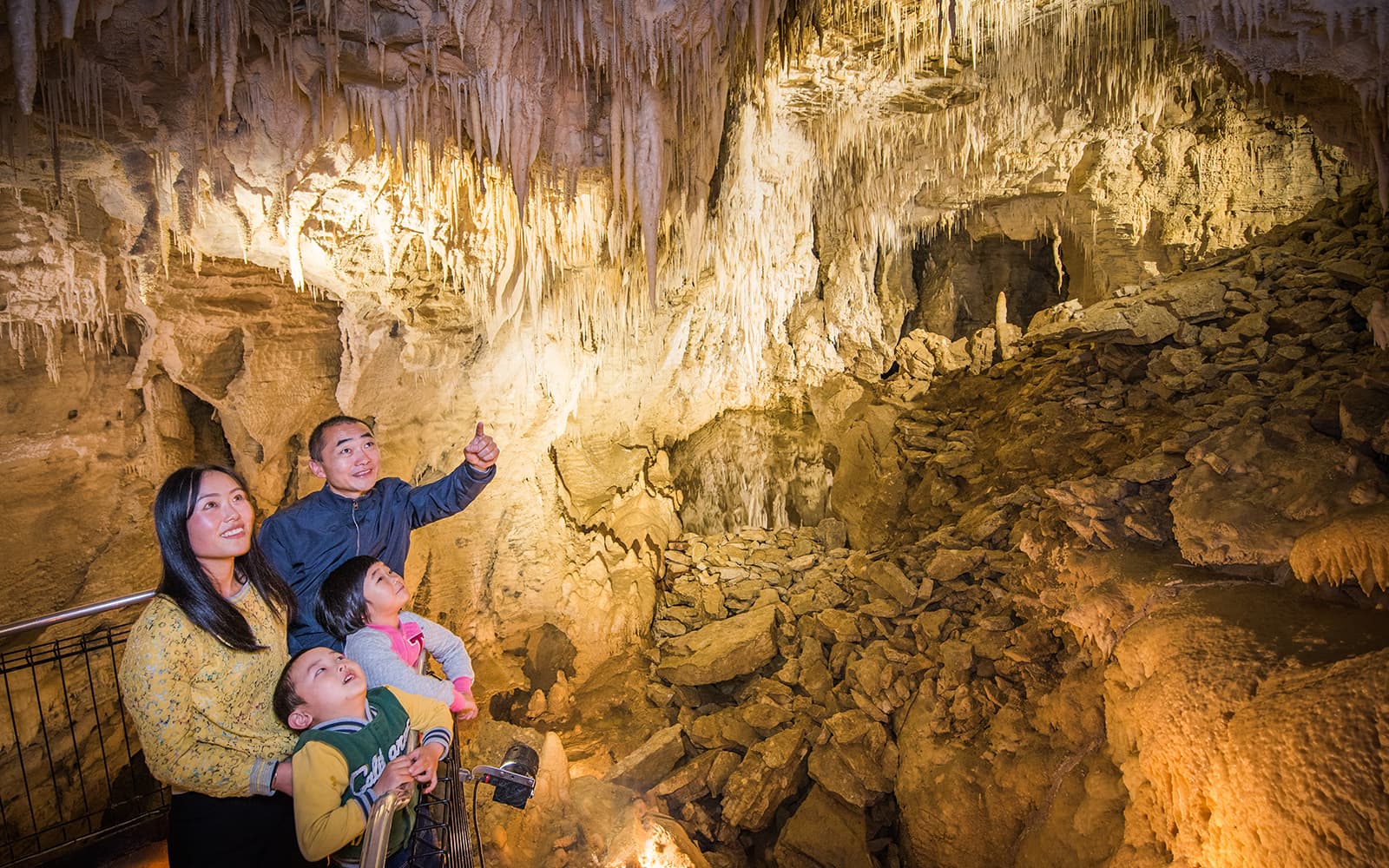 Aranui Cave Guided Tour tickets in Waitomo - Highlights | TickYourList