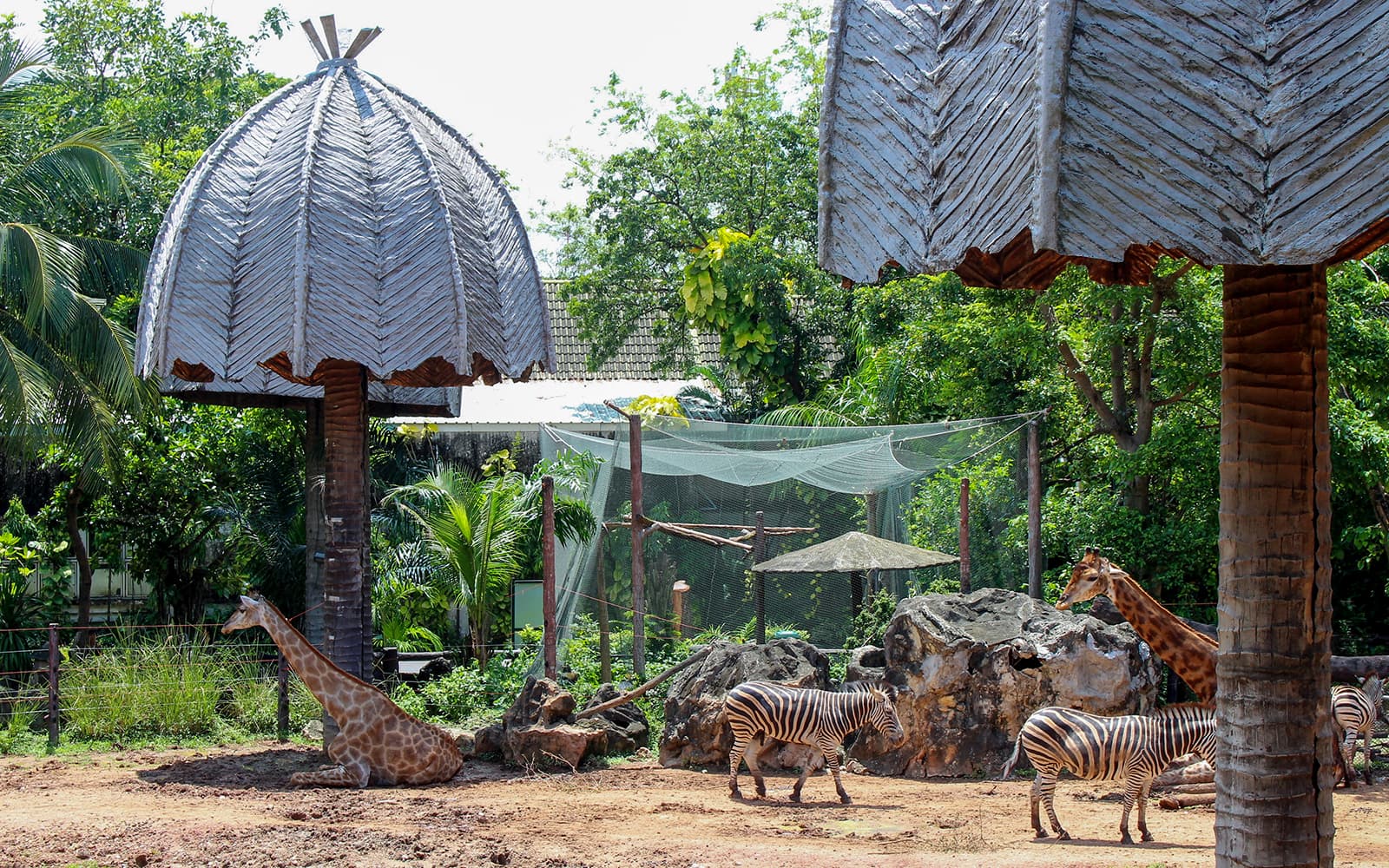 Combo: Auckland Zoo + SEA LIFE Kelly Tarlton's Aquarium Tickets in Auckland - Activities | TickYourList
