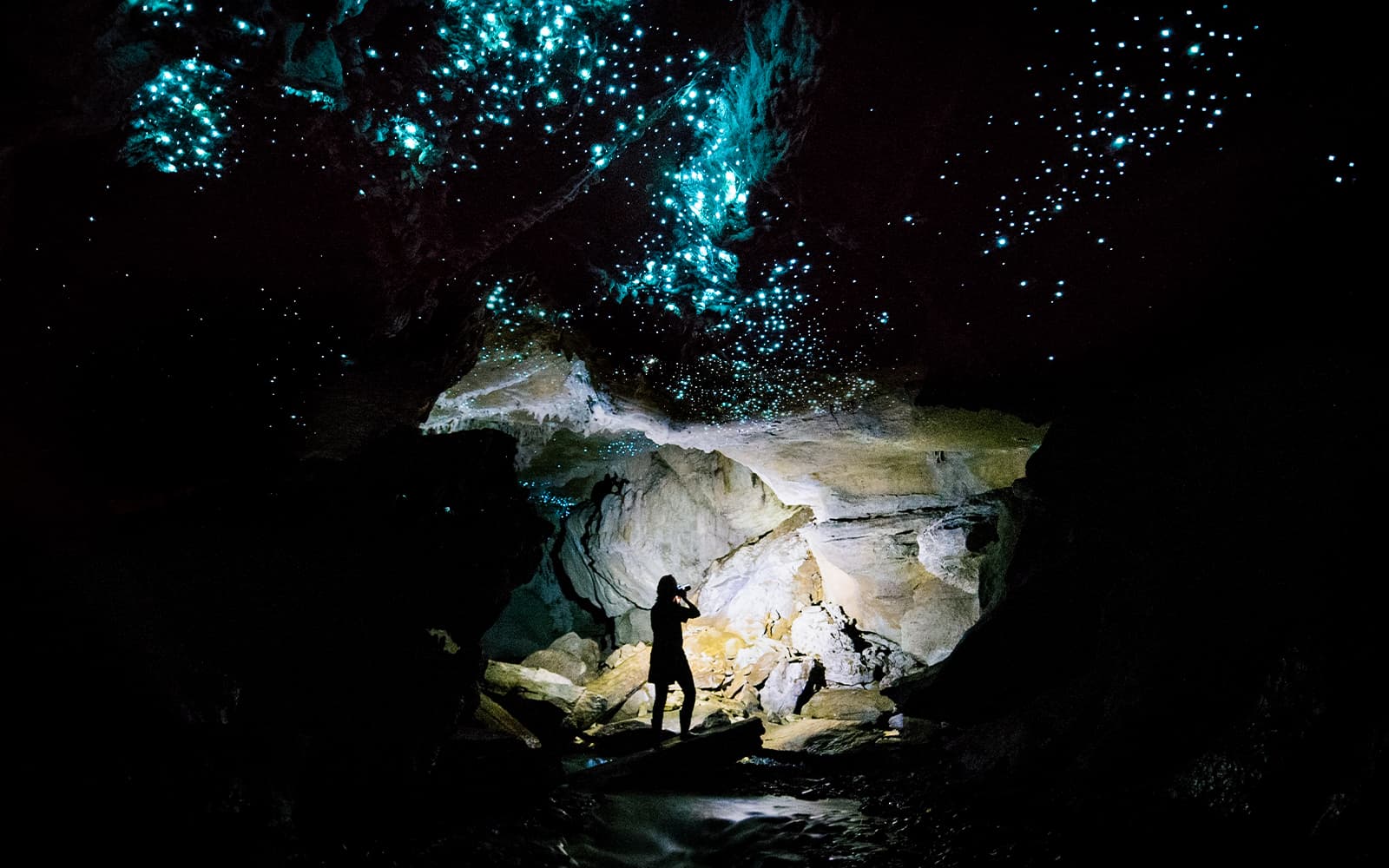 Offbeat Waitomo Glowworm Cave Small Group Guided Tour