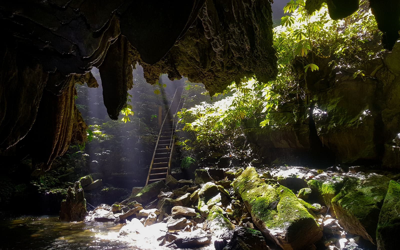 Offbeat Waitomo Glowworm Cave Small Group Guided Tour tickets in Waitomo - Attractions | TickYourList